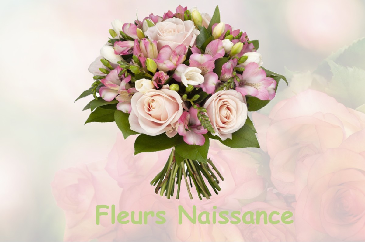 fleurs naissance SAINT-MAURICE-AUX-FORGES